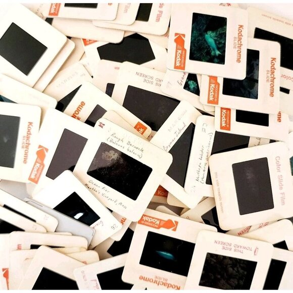 Kodak Other - 1980s 35mm Slide Film Frames Nautical Lot Of 100 Sea Life Fish Coral Vtg E50B
